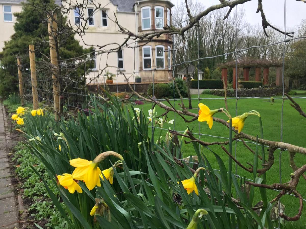 Holywell House B & B Evershot  ภายนอก รูปภาพ